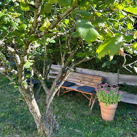Sonnenwang Pfronten